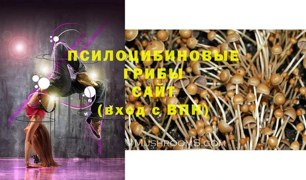 дурь Ладушкин