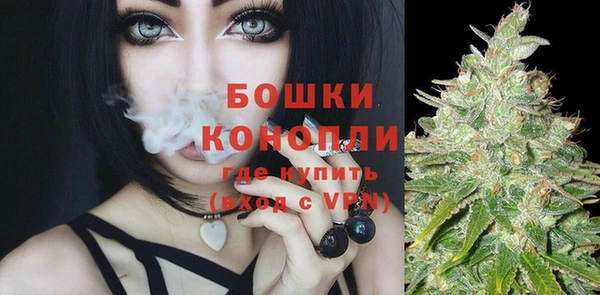 дурь Ладушкин